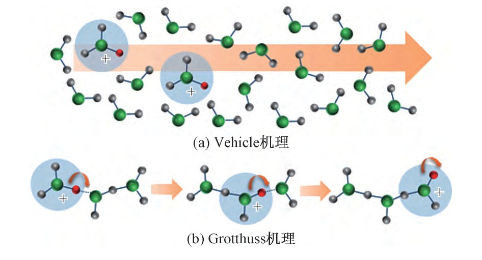 Yy易游体育科技