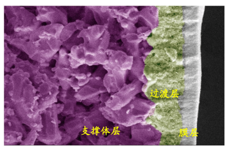 Yy易游体育科技