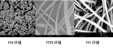 Yy易游体育科技