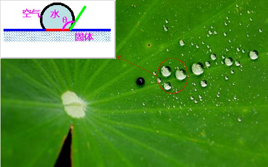 Yy易游体育科技