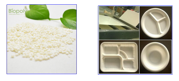 Yy易游体育科技