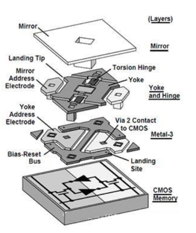 Yy易游体育科技