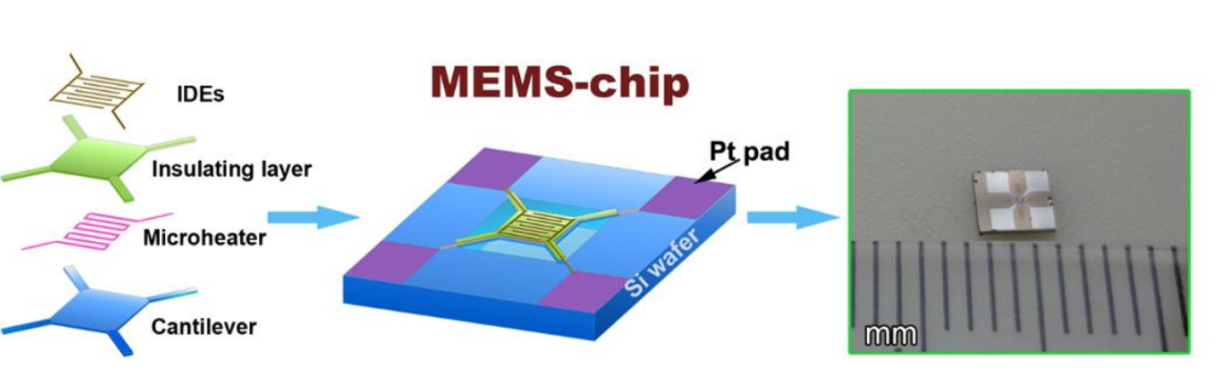 Yy易游体育科技