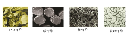 Yy易游体育科技