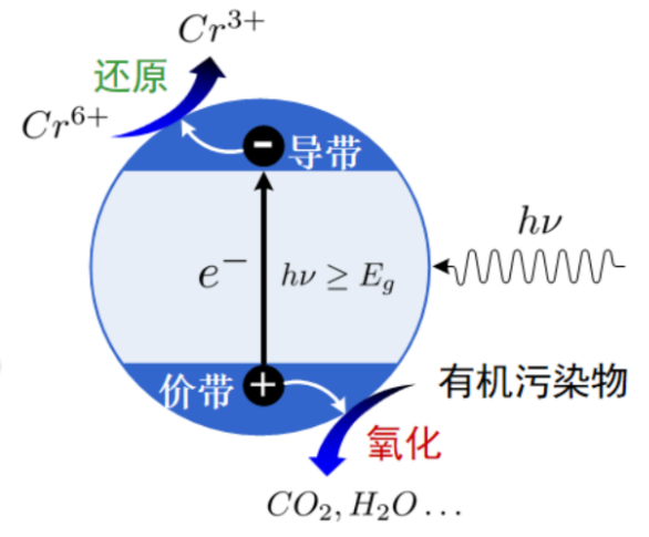 Yy易游体育科技