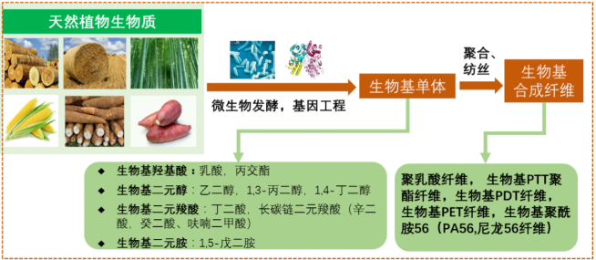 Yy易游体育科技
