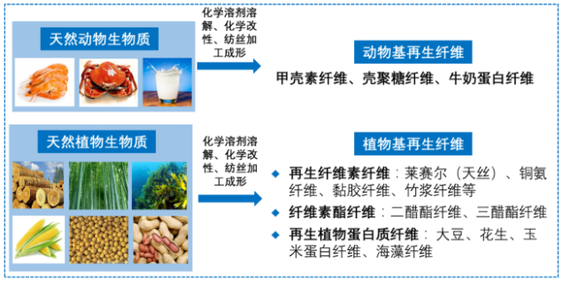Yy易游体育科技