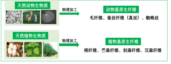 Yy易游体育科技