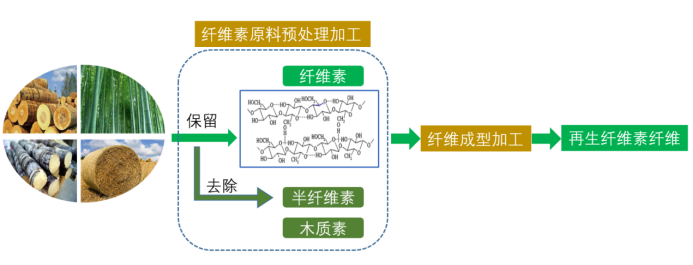 Yy易游体育科技