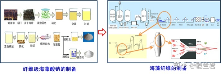 Yy易游体育科技