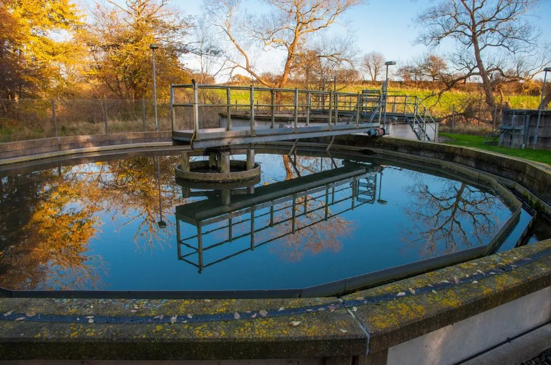 Yy易游体育科技