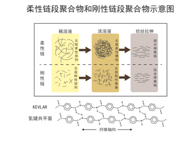 Yy易游体育科技