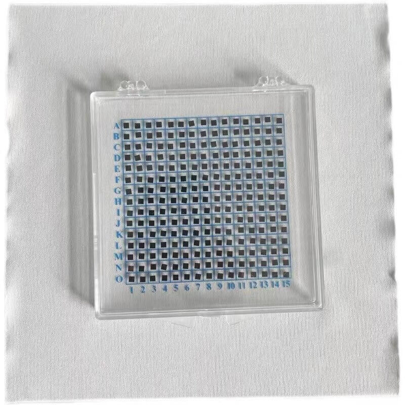 Yy易游体育科技