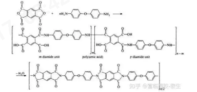 Yy易游体育科技