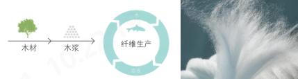 Yy易游体育科技