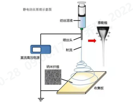 Yy易游体育科技